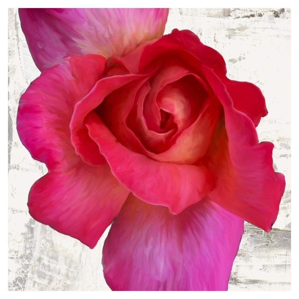 Spring Roses I-Paper Art-38x38”