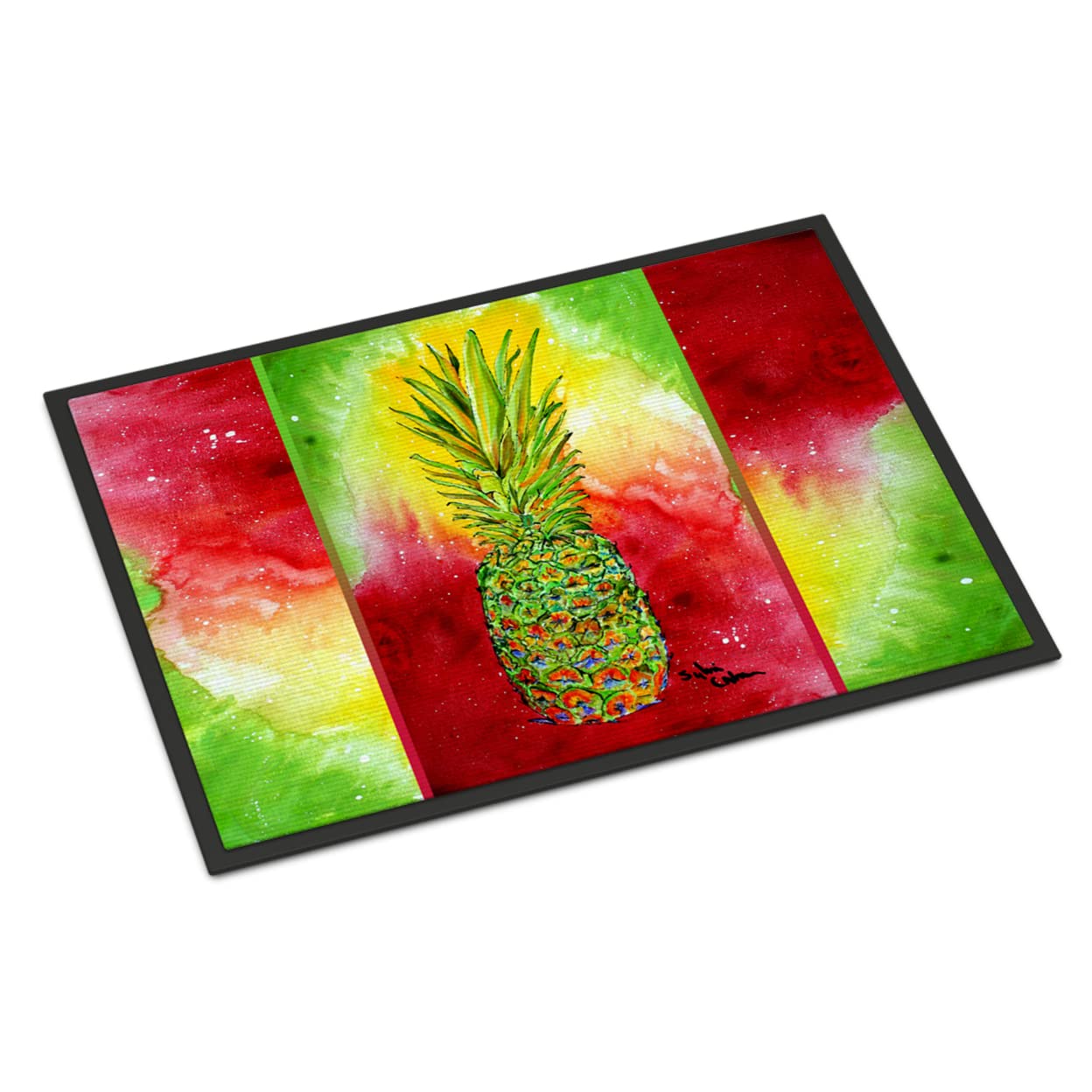 Indoor or Outdoor Mat 24x36