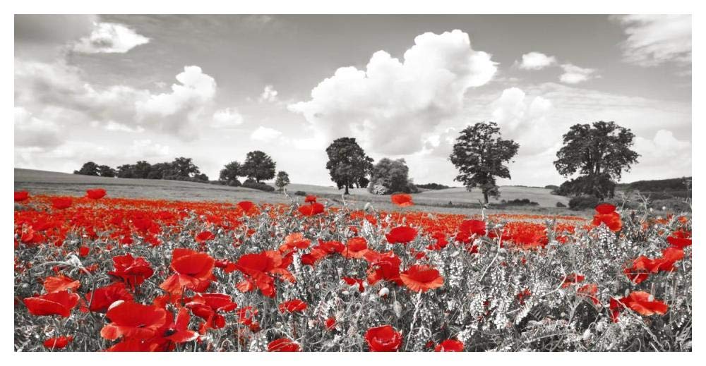 Poppies and vicias in meadow, Mecklenburg Lake District, Germany-Paper Art-50x26”