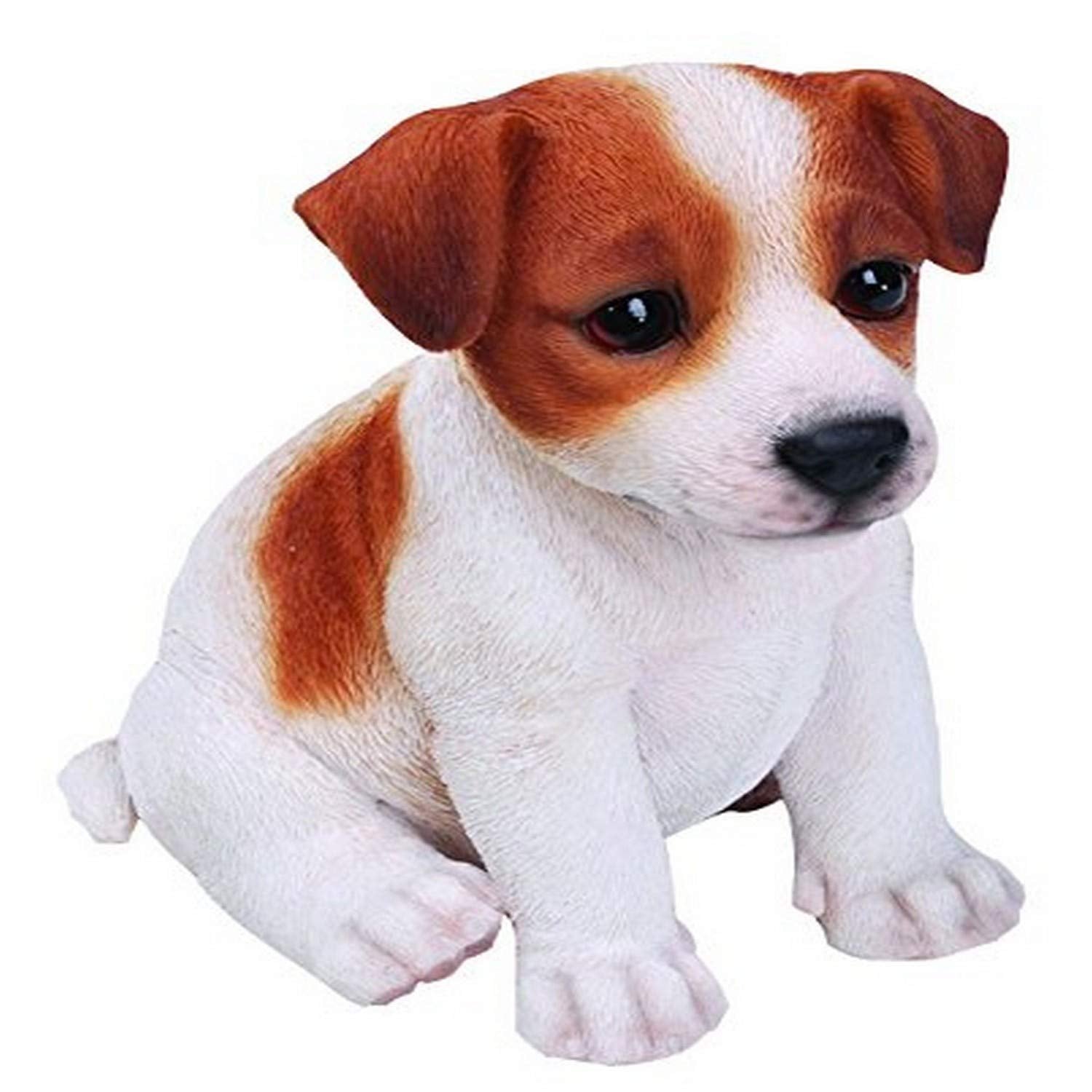 Hi-Line Gift Ltd 87771-C Jack Russell Terrier Puppy