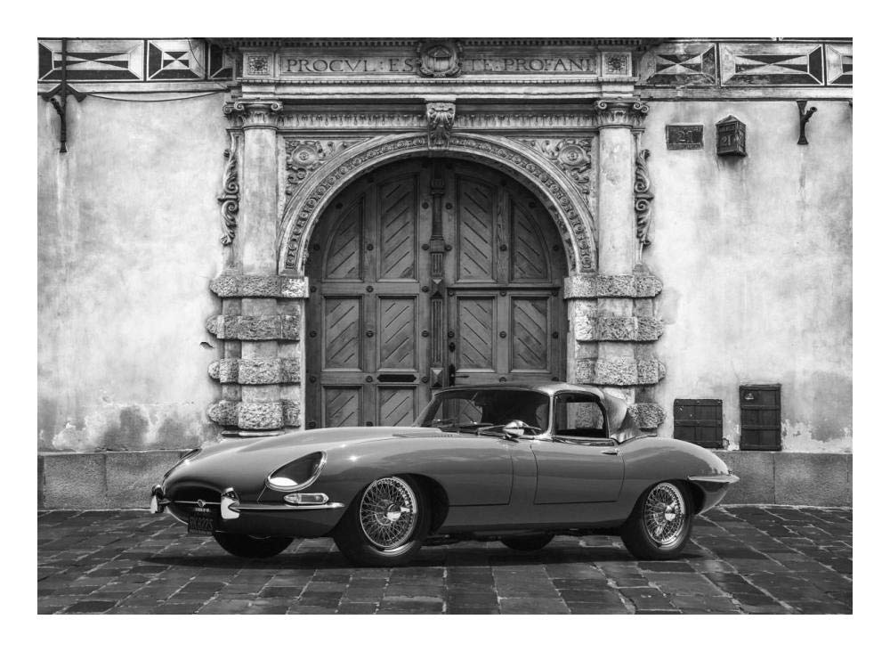 Roadster in front of Classic Palace (BW)-Paper Art-24x18”