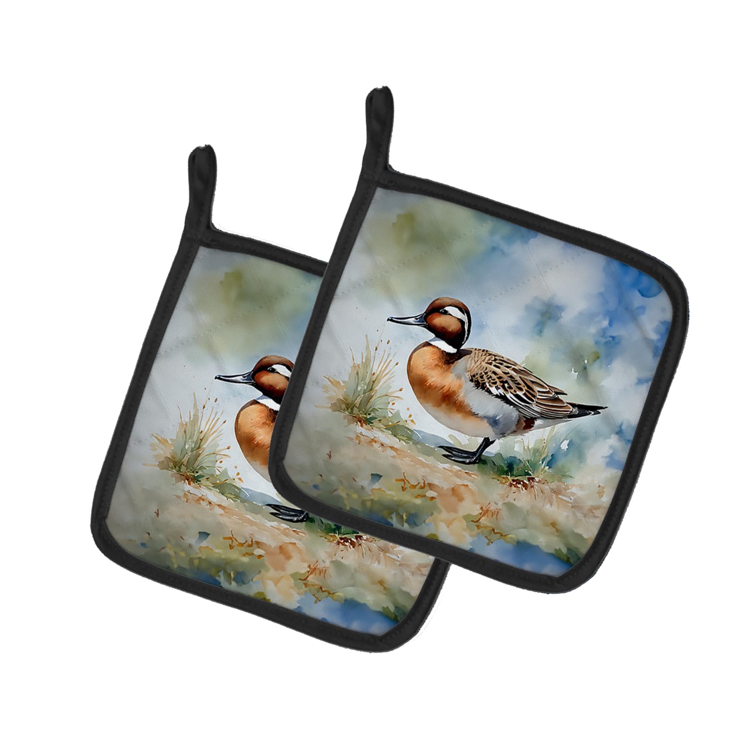 Northern Pintail Pair of Pot Holders