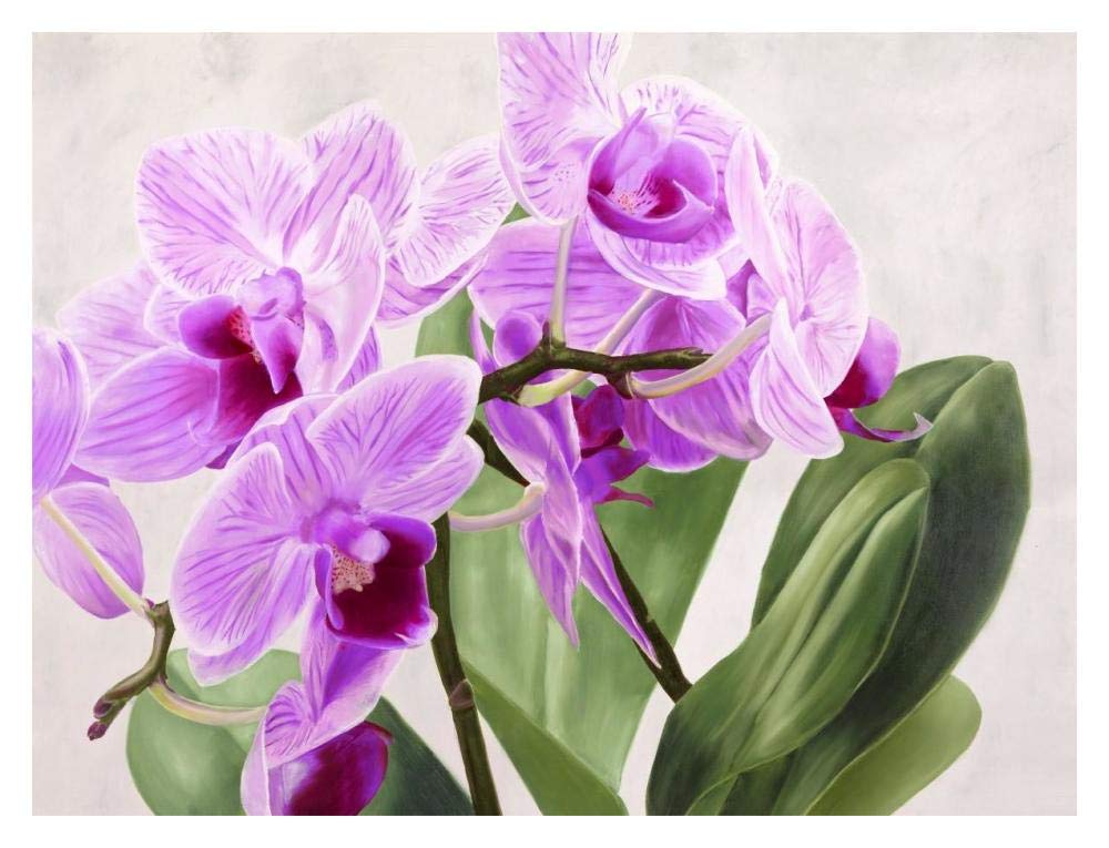 Orchidee selvagge-Paper Art-18x14”