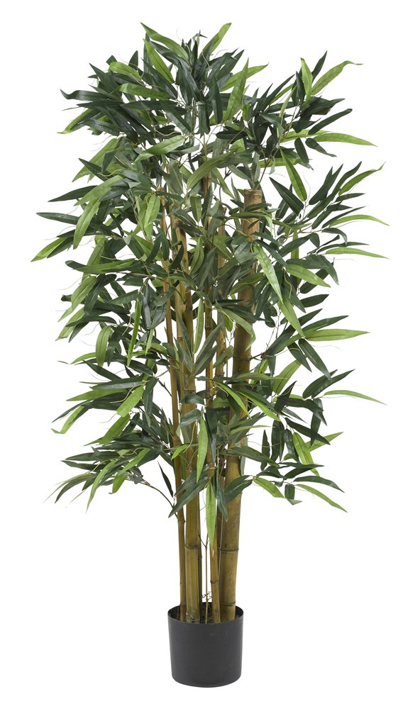 4 Biggy Bamboo Silk Tree