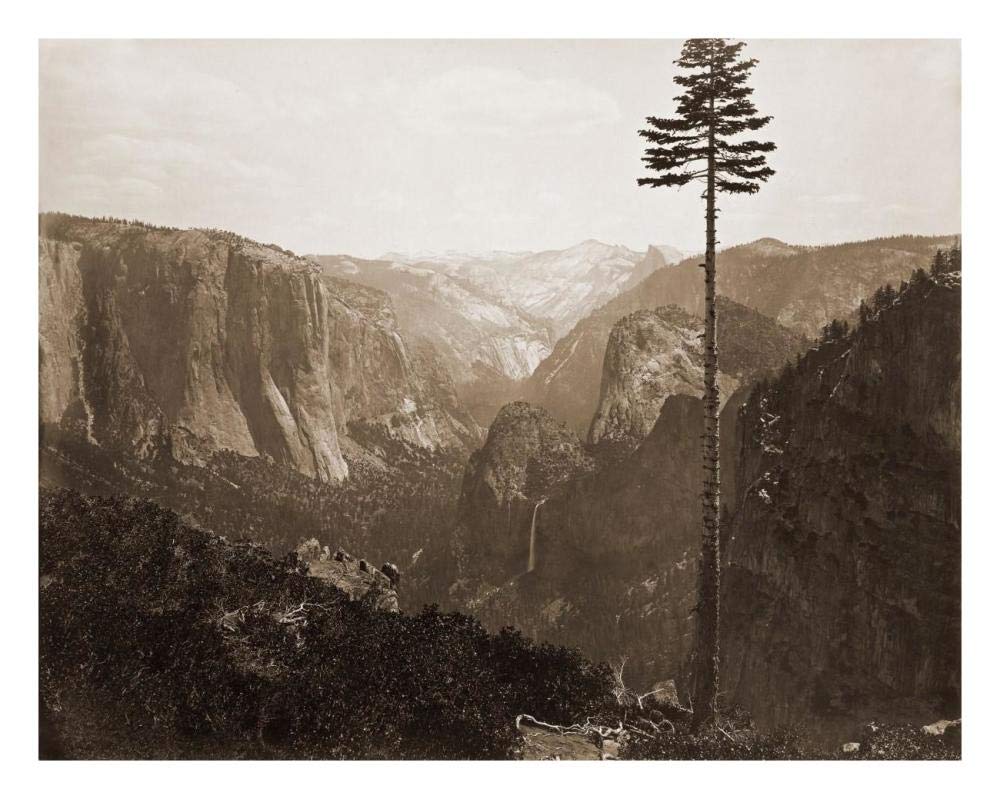 Yosemite Valley from the Best General View, 1866-Paper Art-26x20”