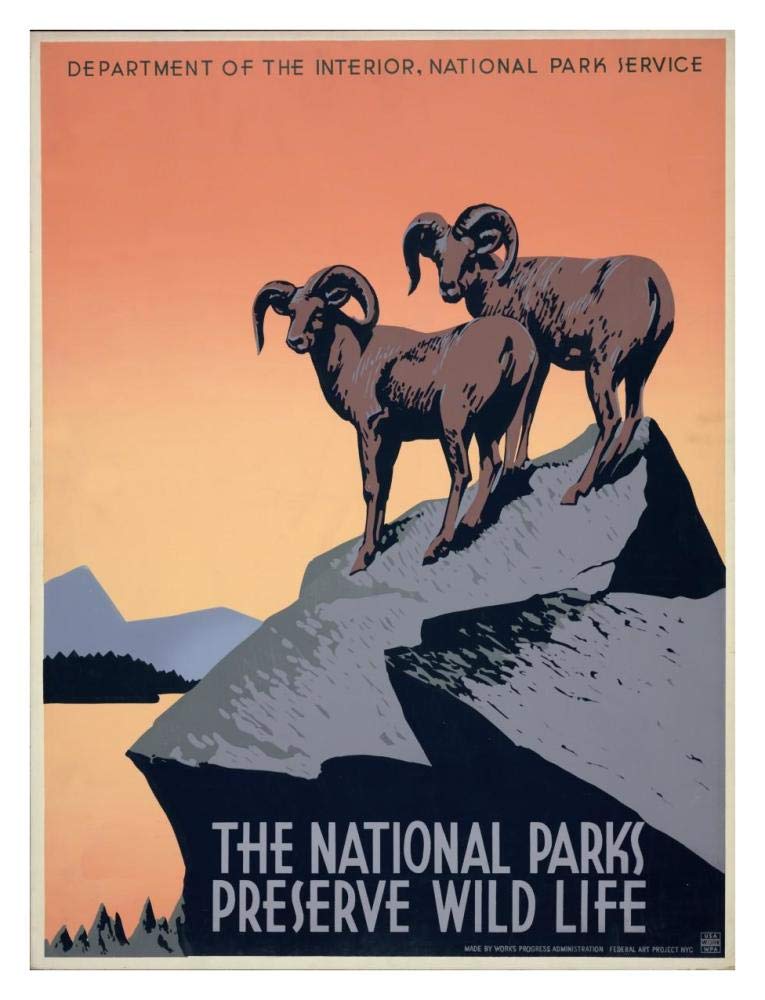 The National Parks Preserve Wild Life, ca. 1936-1939-Paper Art-26x34”