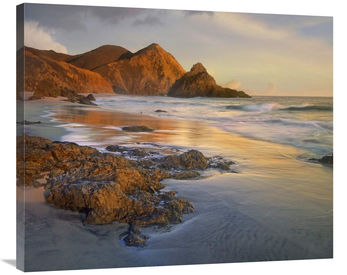 Bean Hollow Beach, Big Sur, California-Canvas Art-36x29.88”