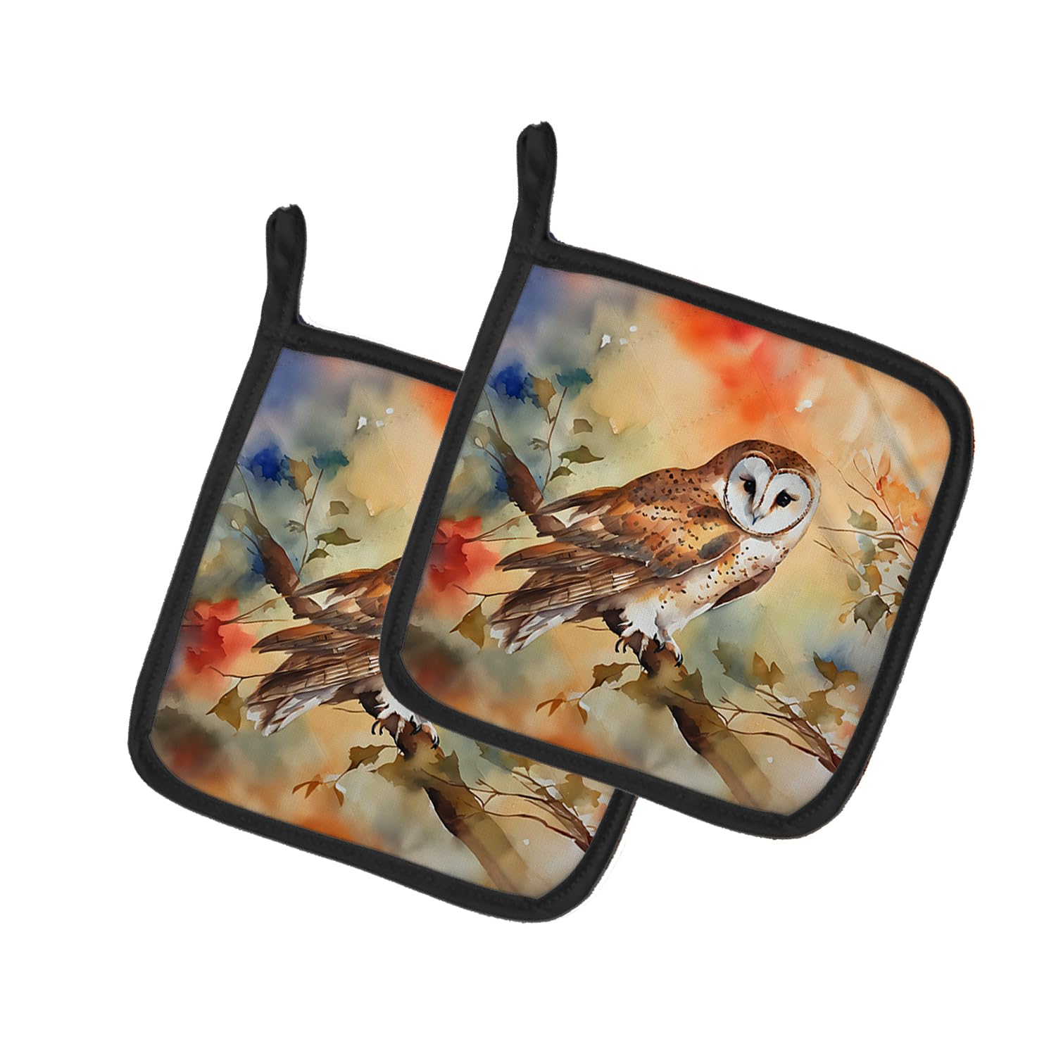 Barn Owl Pair of Pot Holders