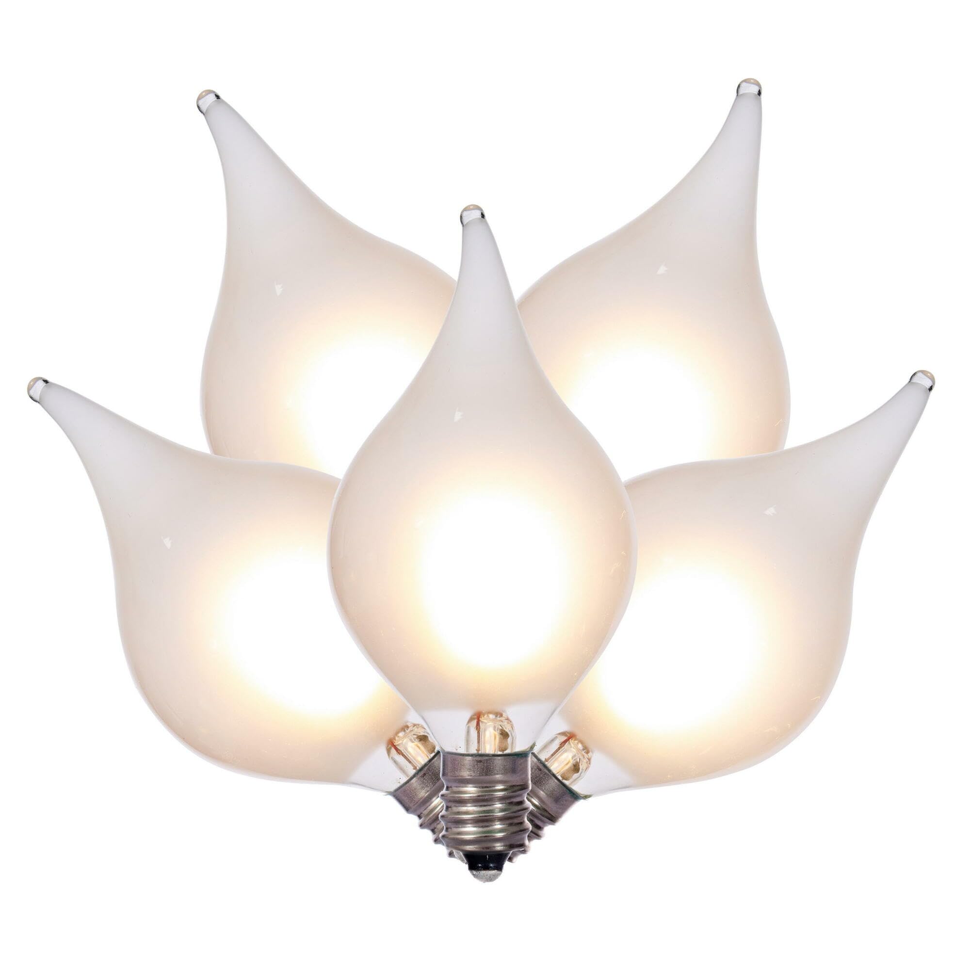 Casafoyer 15Lt x15' WW LED G45 Gls Flme Tip GW12”S - (Pack Of 2)
