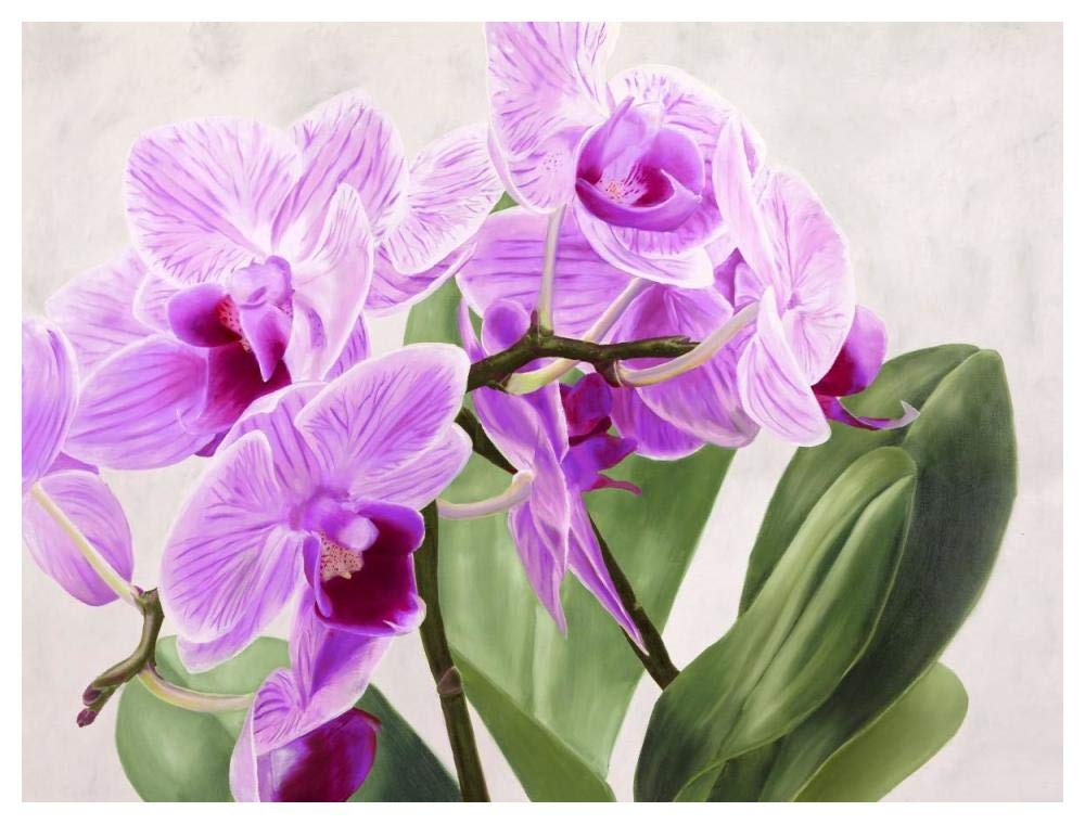 Orchidee selvagge-Paper Art-50x38”