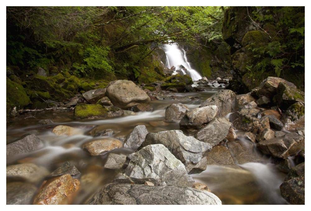 Unnamed waterfall along South Tongass Highway, Ketchikan, Alaska-Paper Art-50x34”