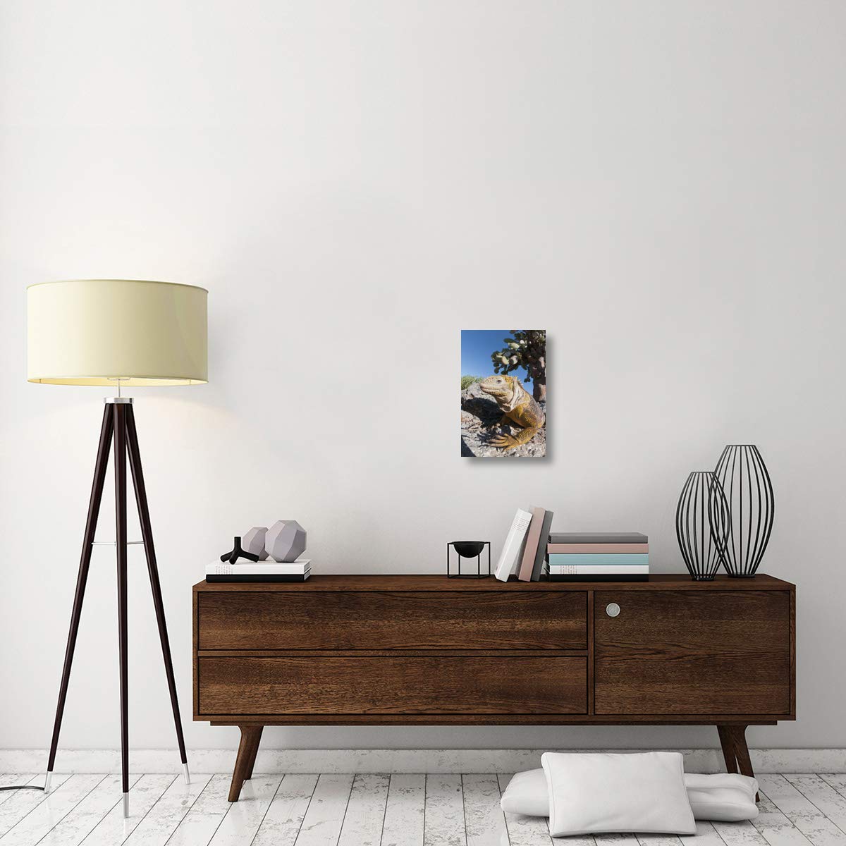 Galapagos Land Iguana basking, Galapagos Islands, Ecuador-Canvas Art-12x18”