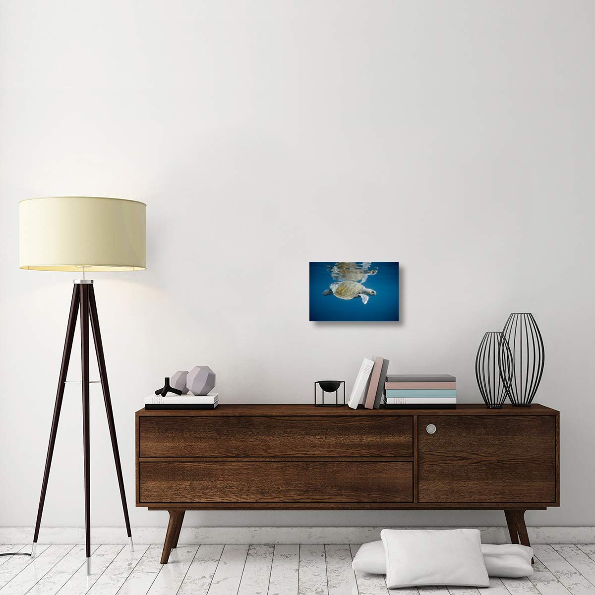 Olive Ridley Sea Turtle swimming in open ocean, Galapagos Islands, Ecuador-Canvas Art-18x12”