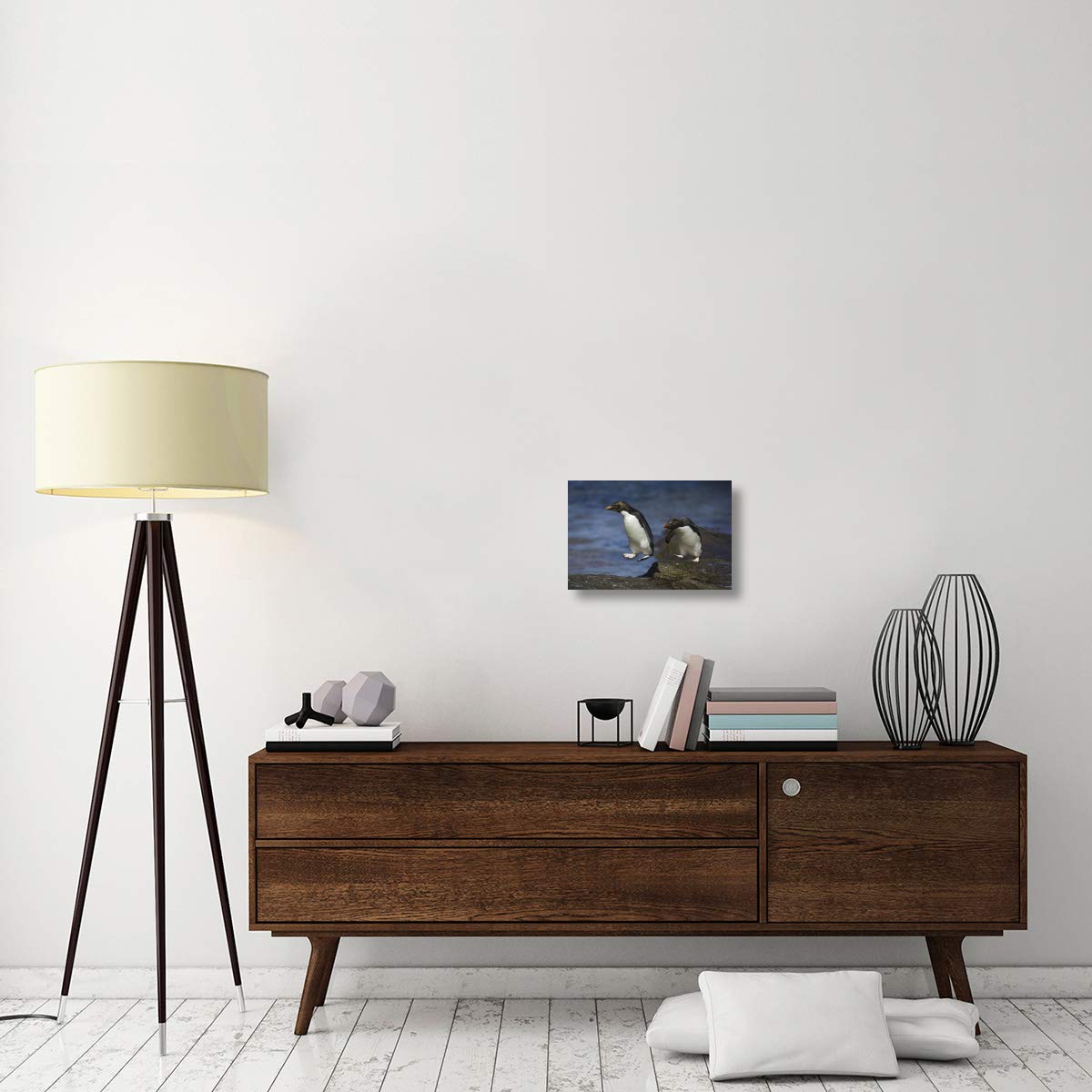 Rockhopper Penguin hopping from rock to rock, New Island, Falkland Islands-Canvas Art-18x12”