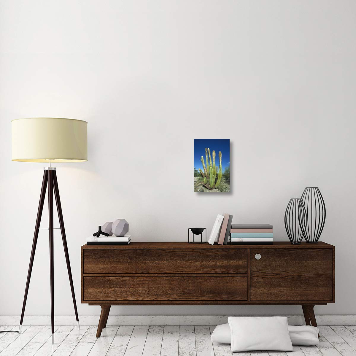 Old Man Cactus in Sonoran desert landscape, Baja California, Mexico-Canvas Art-12x18”