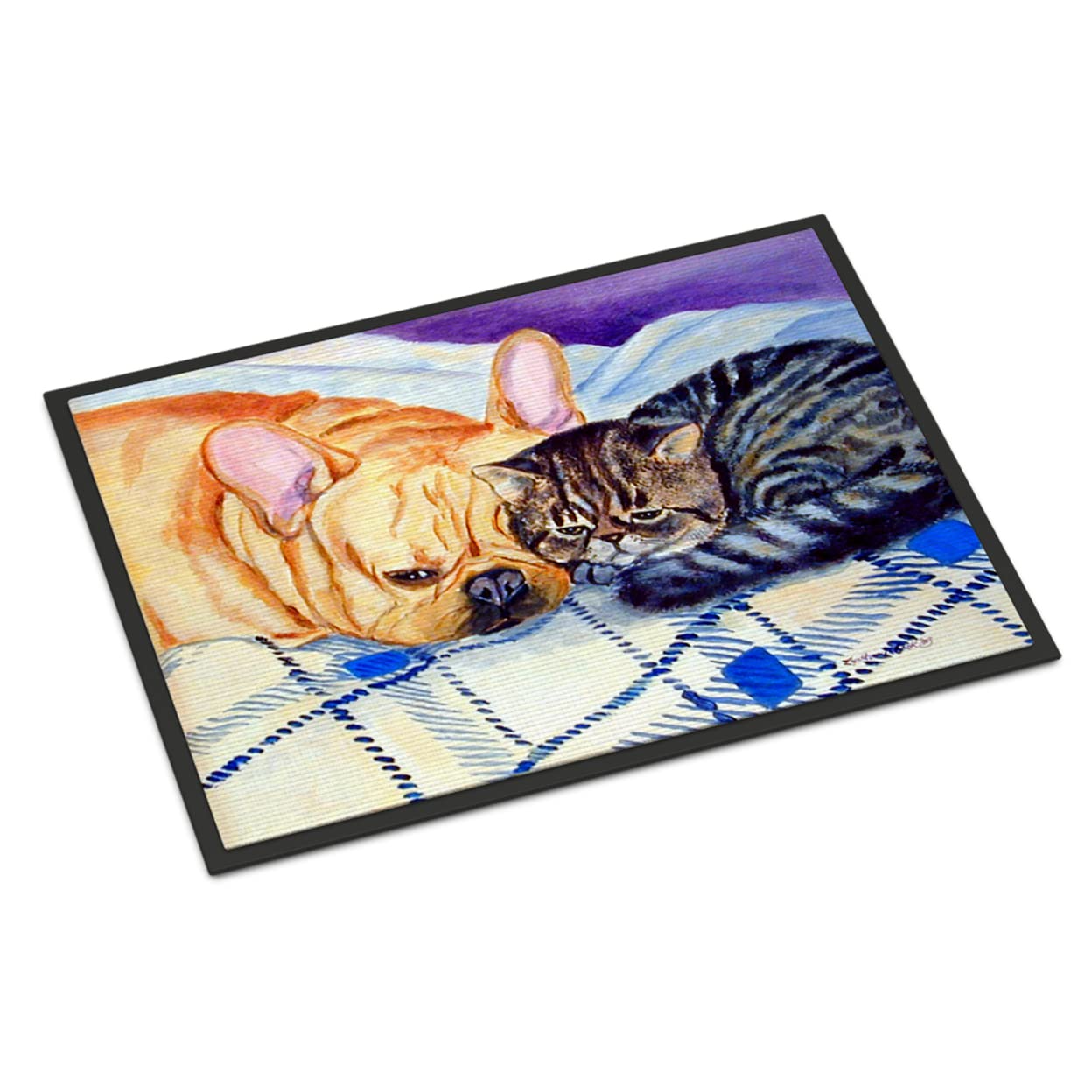 Cat Indoor or Outdoor Mat 18x27