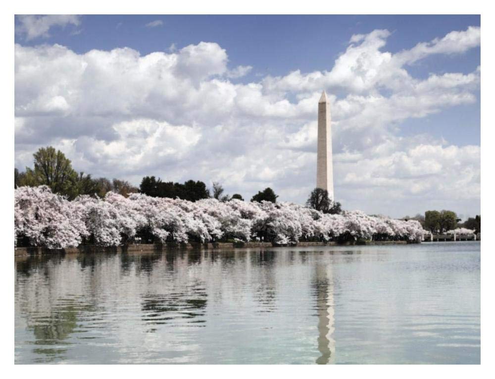 Washington Monument, Washington, D.C. - Vintage Style Photo Tint Variant-Paper Art-18x14”