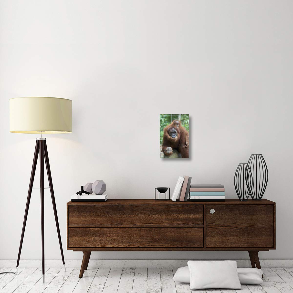 Sumatran Orangutan mother and playful two and a half year old baby, north Sumatra, Indonesia-Canvas Art-12x18”