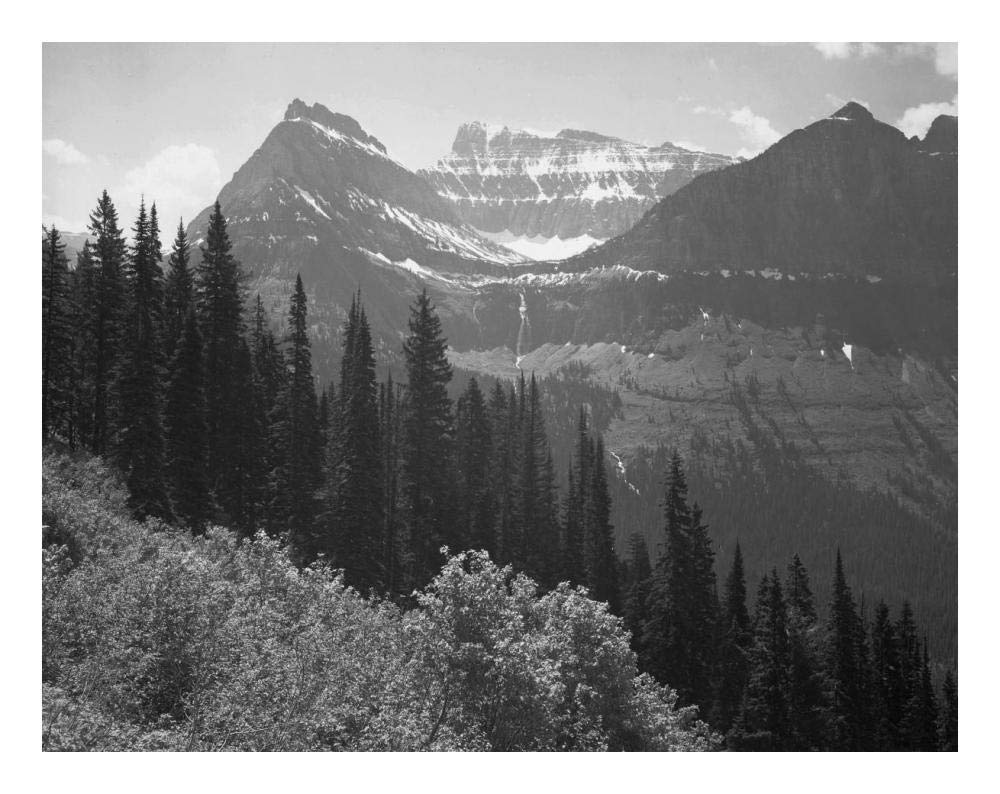 Trees, Bushes and Mountains, Glacier National Park, Montana - National Parks and Monuments, 1941-Paper Art-24x19”