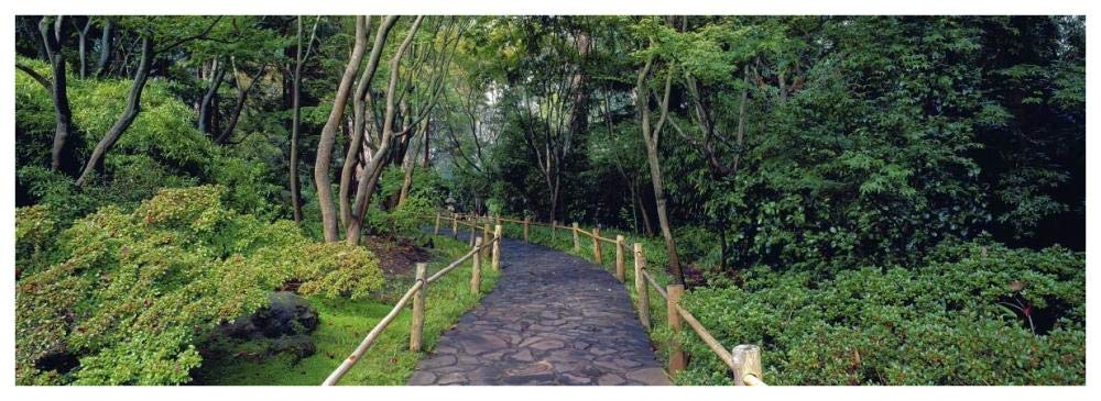 Tea Garden Walkway, San Francisco Botanical Gardens-Paper Art-74x26”