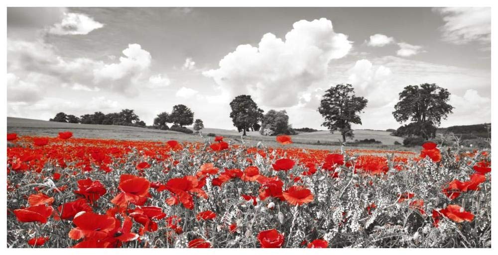 Poppies and vicias in meadow, Mecklenburg Lake District, Germany-Paper Art-74x38”