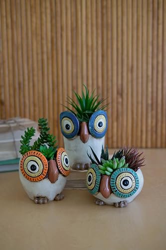 Set Of Three Ceramic Owl Planters