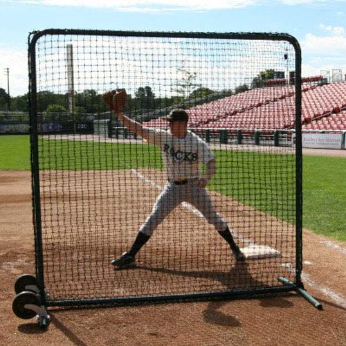 7 x 7 Field Screen Replacement Net