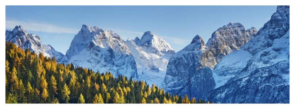 Larch forest and Cima bel Pra, Italy-Paper Art-56x20”