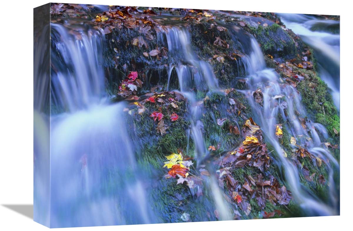 Laurel Creek cascades, Great Smoky Mountains National Park, Tennessee-Canvas Art-16x12”