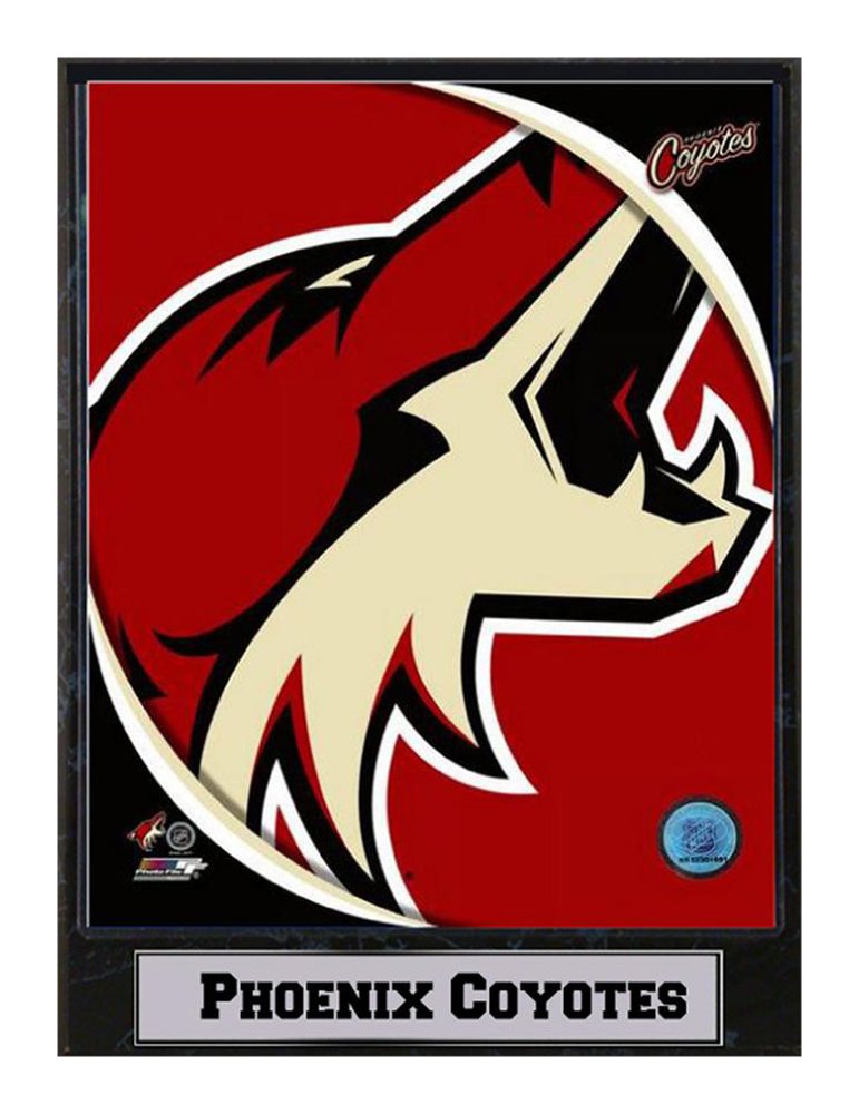 9X12 Logo Plaque - Phoenix Coyotes