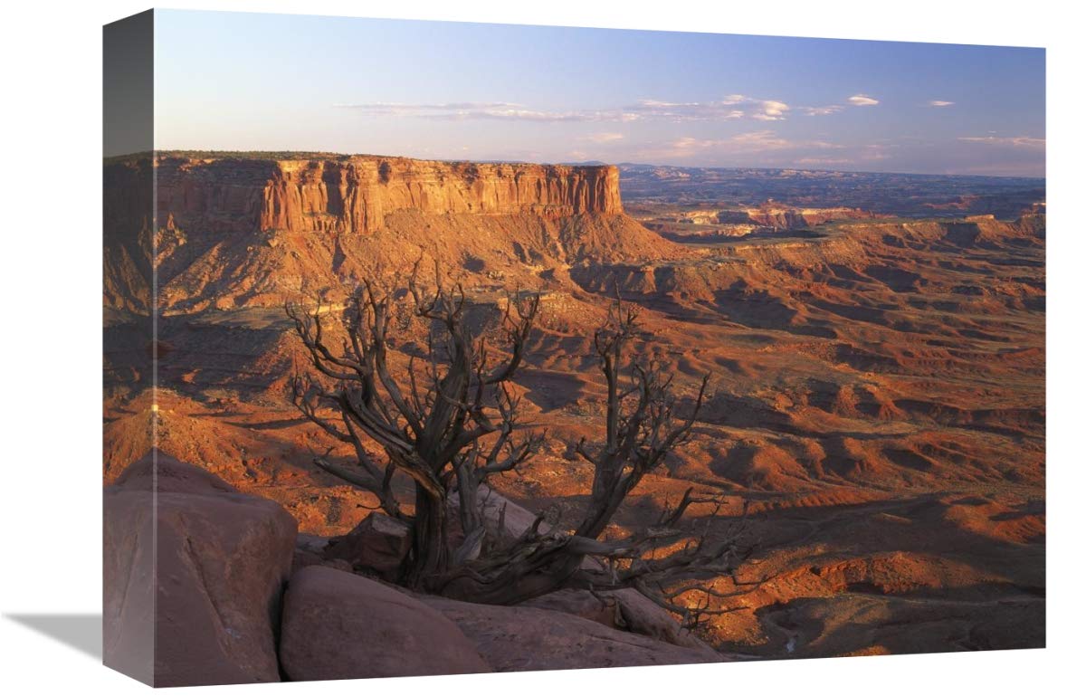 View from Green River overlook, Canyonlands National Park, Utah-Canvas Art-16x12”