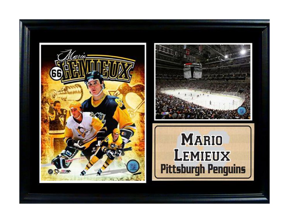 12x18 Photo Stat Frame - Mario Lemieux Pittsburgh Penguins