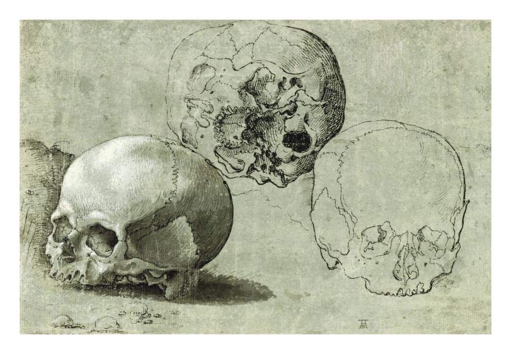 Study of Three Skulls-Paper Art-26x18”