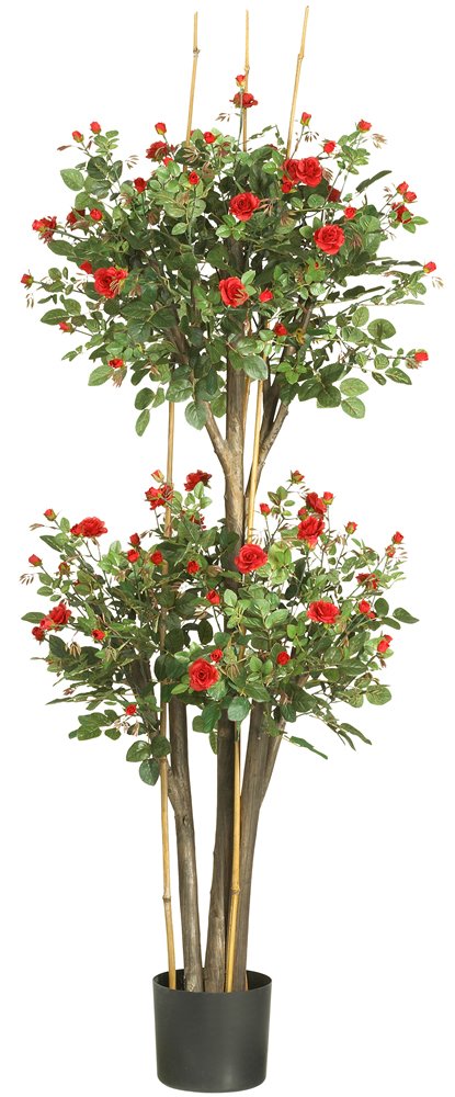 5 Mini Rose Silk Tree