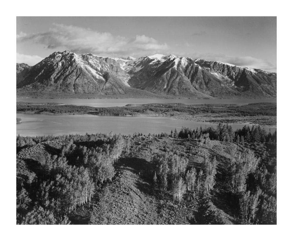View across river valley, Grand Teton National Park, Wyoming, 1941-Paper Art-18x15”