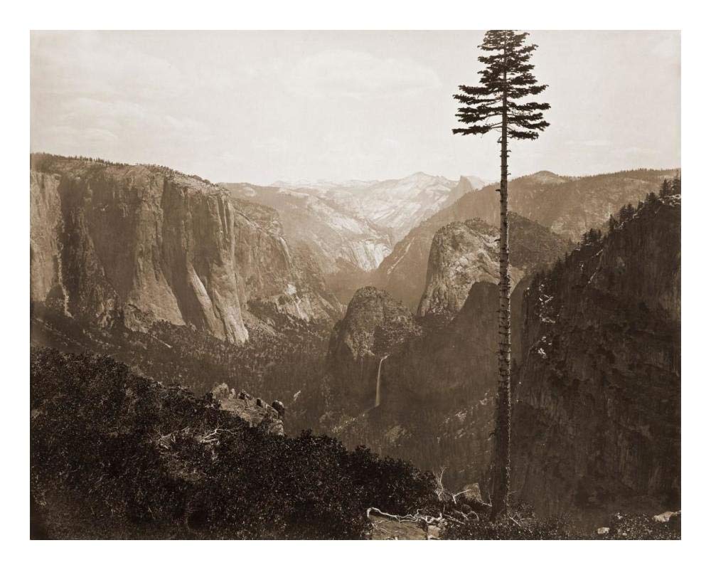 Yosemite Valley from the Best General View, 1866-Paper Art-24x19”