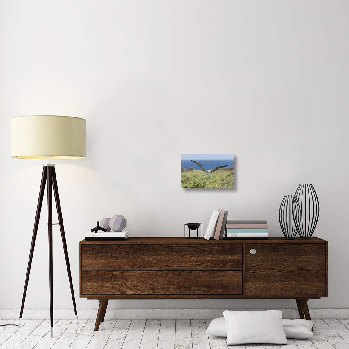 Blue-footed Booby landing, Galapagos Islands, Ecuador-Canvas Art-18x12”