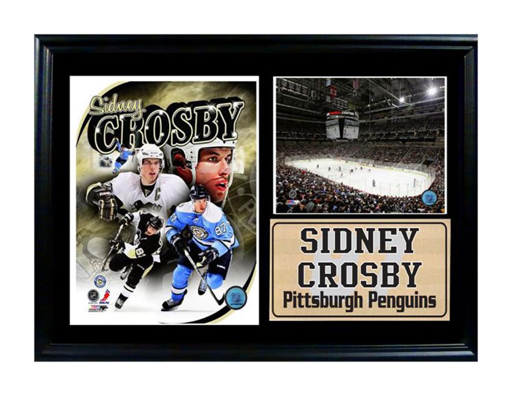 12x18 Photo Stat Frame - Sidney Crosby Pittsburgh Penguins