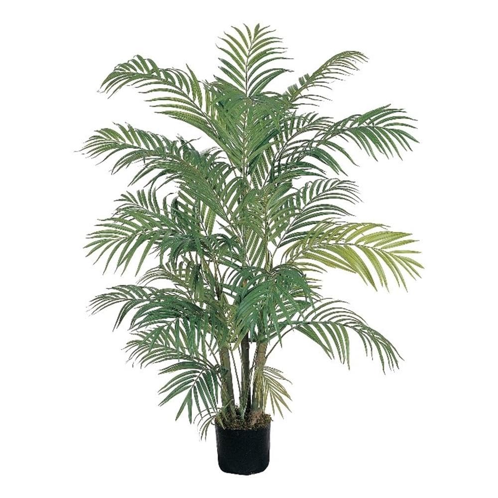 4 Areca Silk Palm Tree