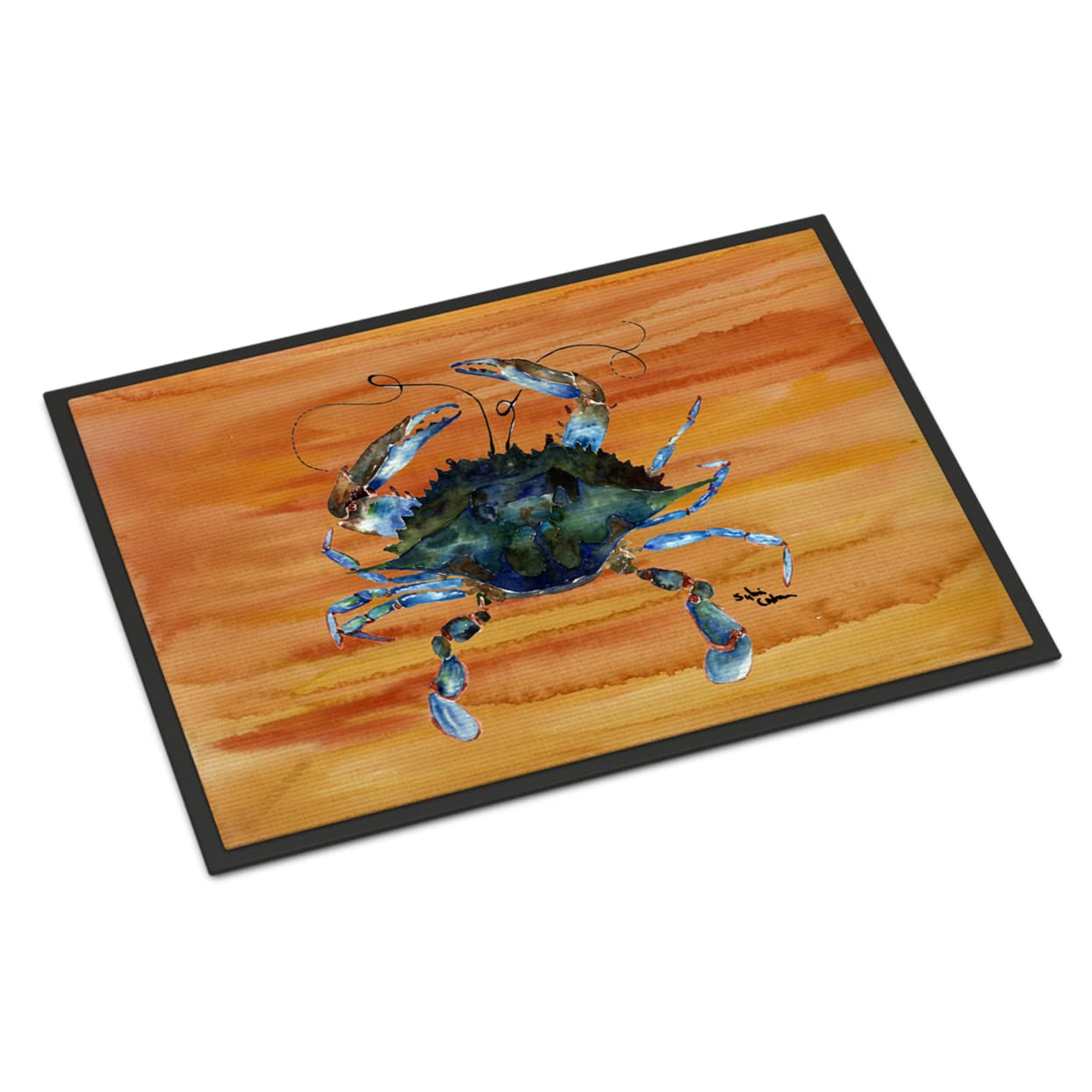 Indoor or Outdoor Mat 24x36
