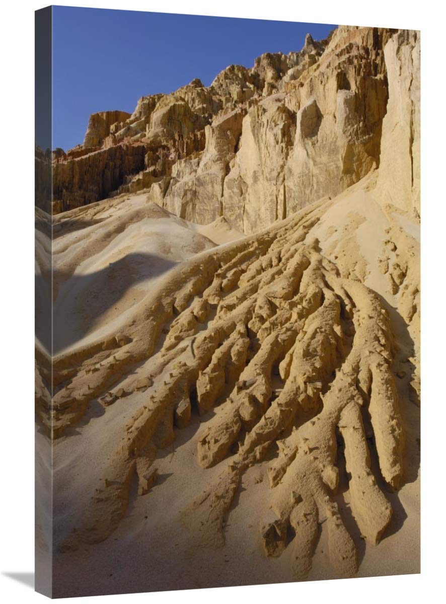 Lavaka or erosion scars, western deciduous forest, Madagascar-Canvas Art-20x30”