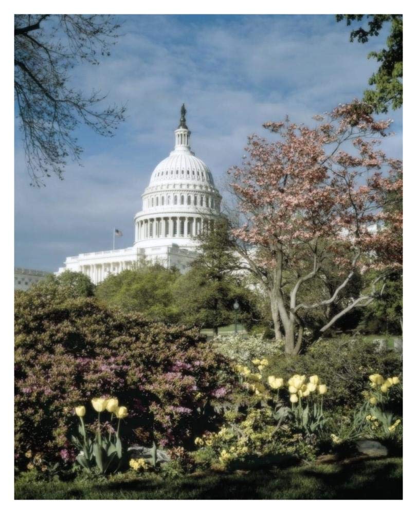 U.S. Capitol, Washington, D.C. Number 3 - Vintage Style Photo Tint Variant-Paper Art-30x37”