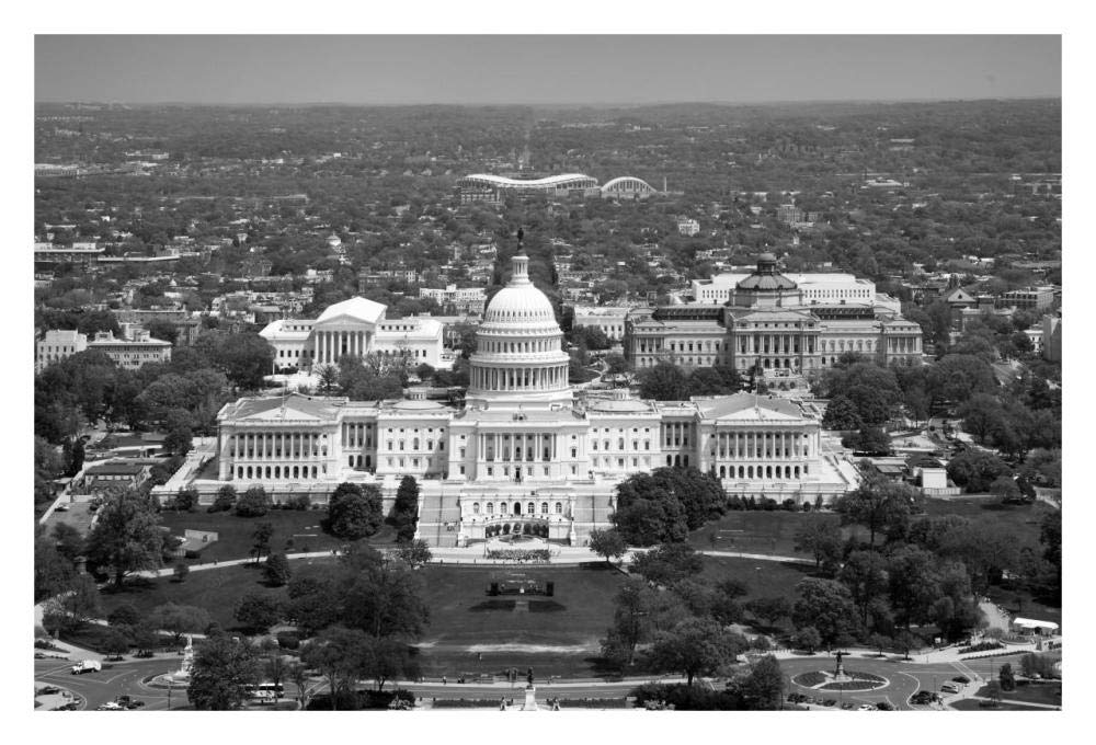 Aerial view, United States Capitol building, Washington, D.C. - Black and White Variant-Paper Art-32x22”