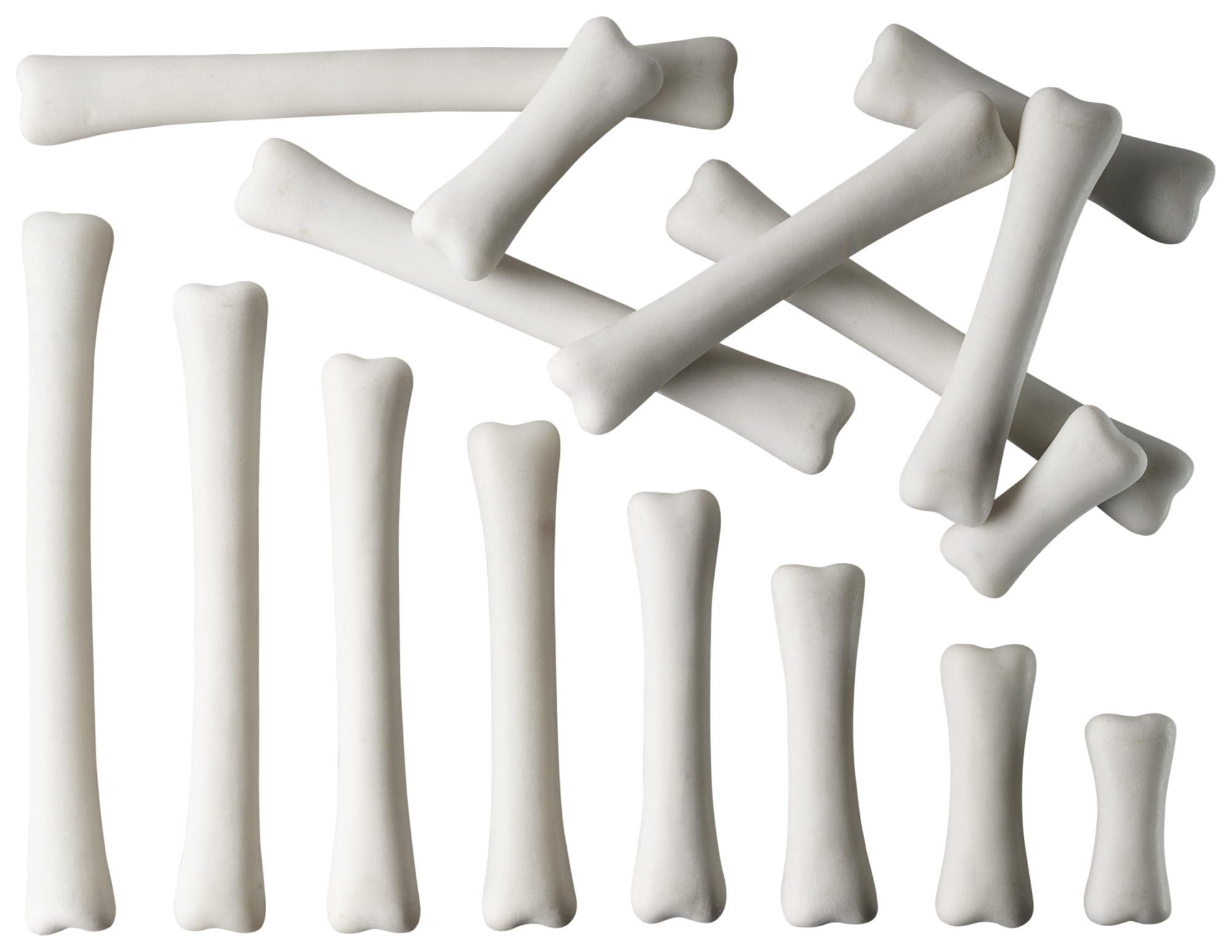 Dinosaur Bones Match & Measure Set