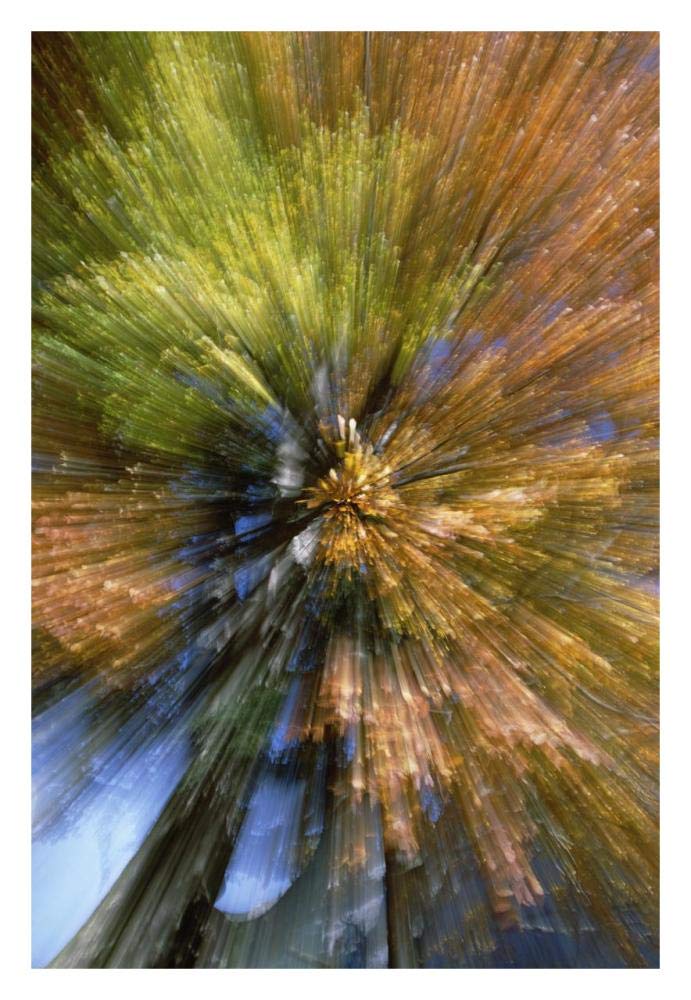 Autumn foliage, abstract-Paper Art-22x32”