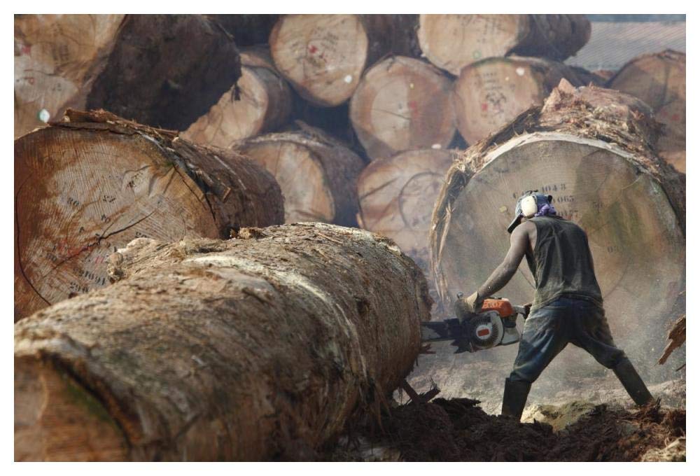 Logger cutting tree trunk, Cameroon-Paper Art-50x34”