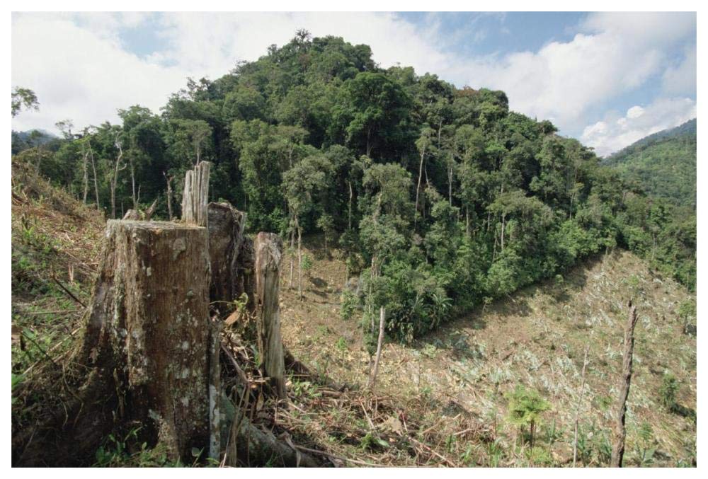 Deforested hillside of wet montane rainforest near Los Cedros Biological Reserve, Choco Phytogeographic region, northwest Ecuador-Paper Art-62x42”