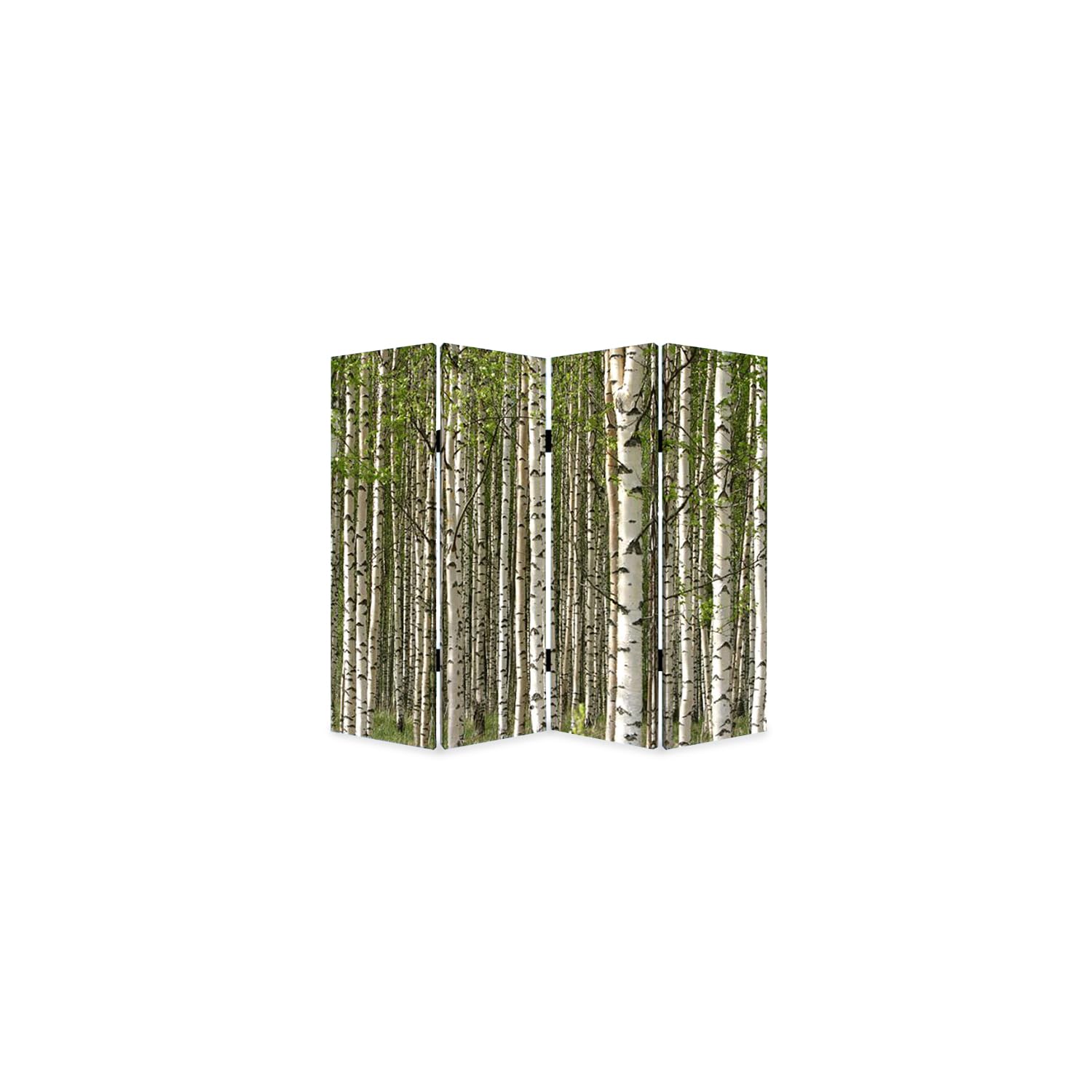 3 Panel Foldable Canvas Evergreen Forest Print Screen, Green and White