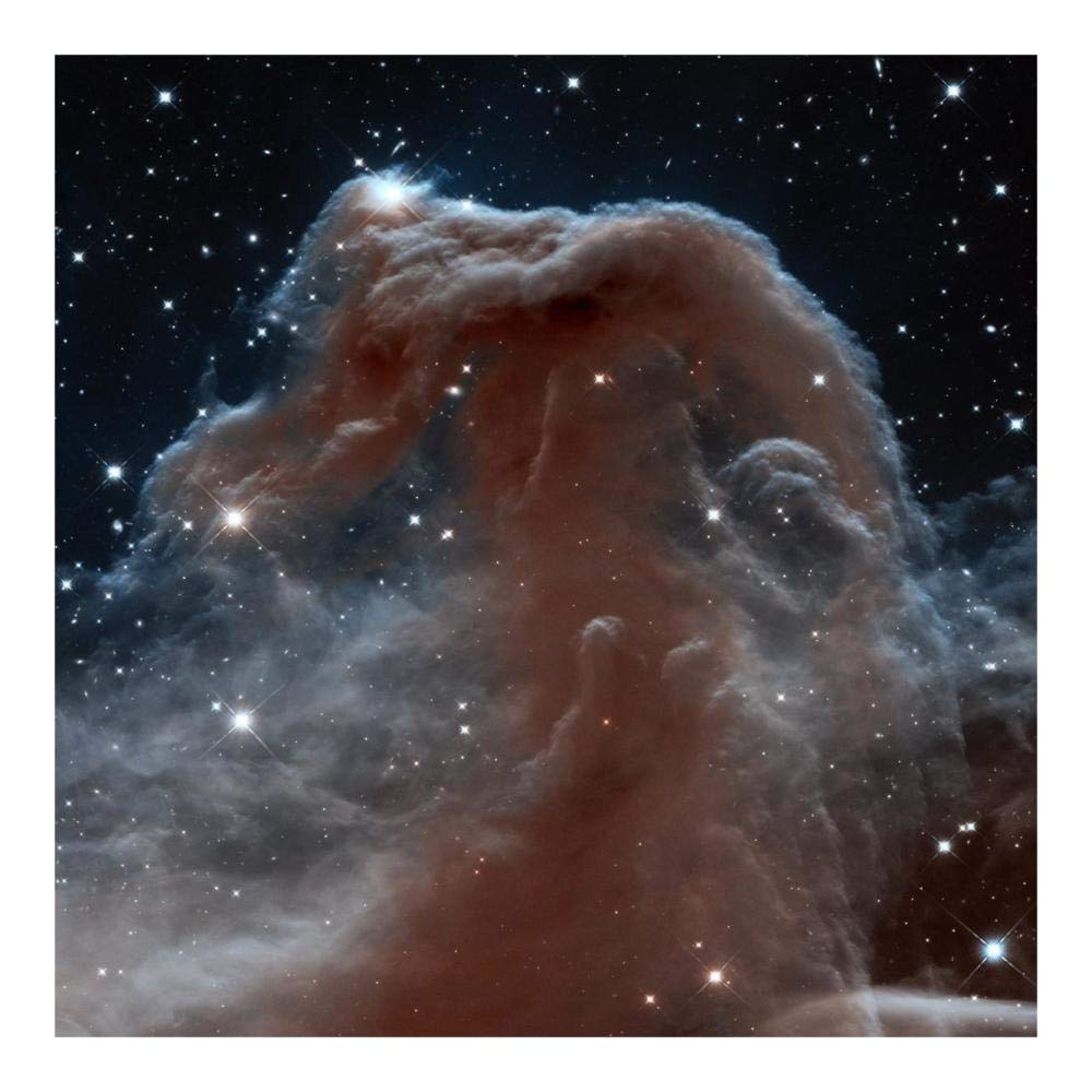 Horsehead Nebula, Infrared View-Paper Art-20x20”
