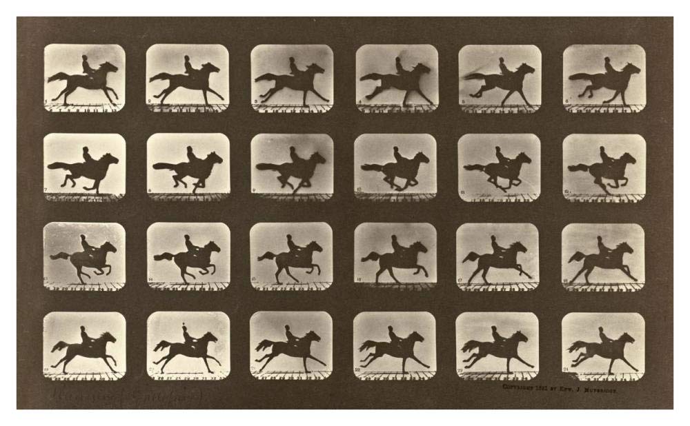 Motion Study: Man Riding A Galloping Horse-Paper Art-42x26”